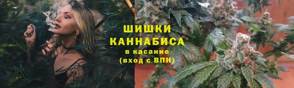 трава Алексин