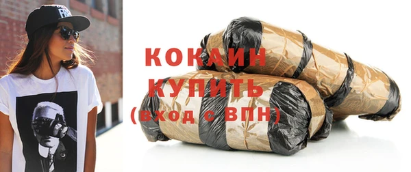 стаф Алзамай
