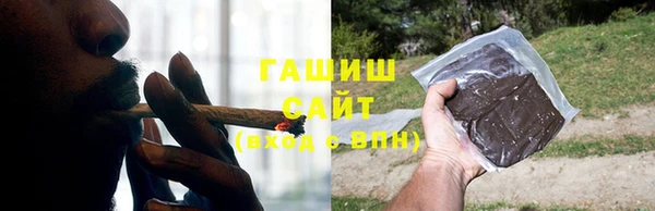 стаф Алзамай
