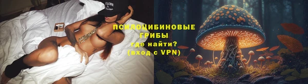 трава Алексин