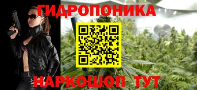 спайс Малгобек