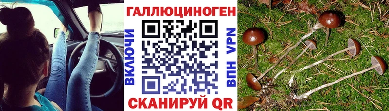 дарк нет какой сайт  Темрюк  Галлюциногенные грибы Cubensis  hydra ссылки 