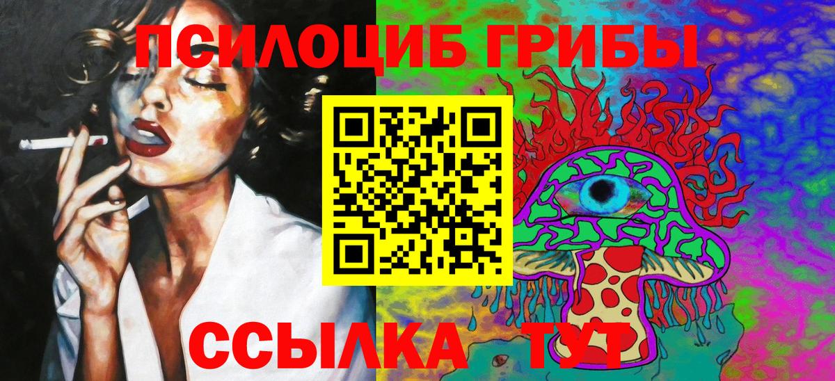 Псилоцибиновые грибы Psilocybine cubensis Темрюк