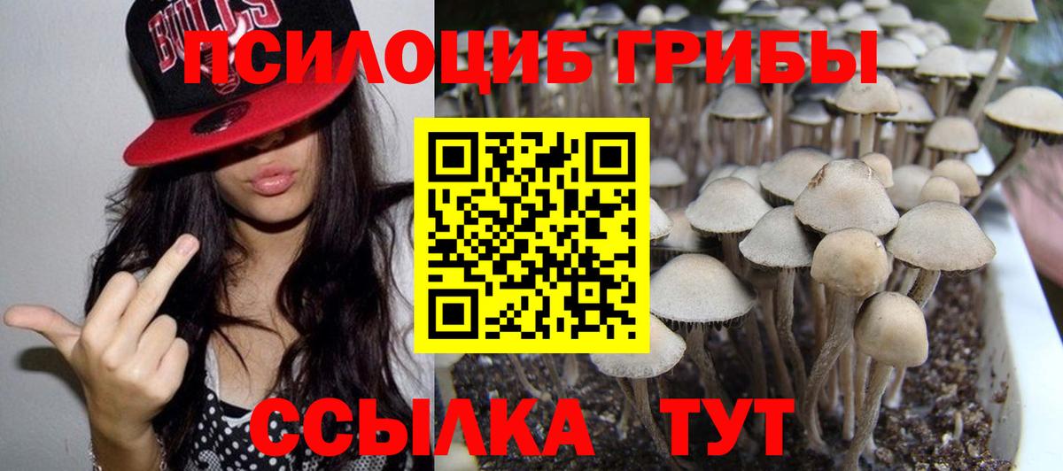 Галлюциногенные грибы Psilocybine cubensis  Галлюциногенные грибы Cubensis  Вход с VPN  Темрюк 