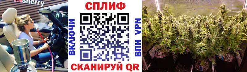 Бошки Шишки SATIVA & INDICA  где купить наркоту  Темрюк 
